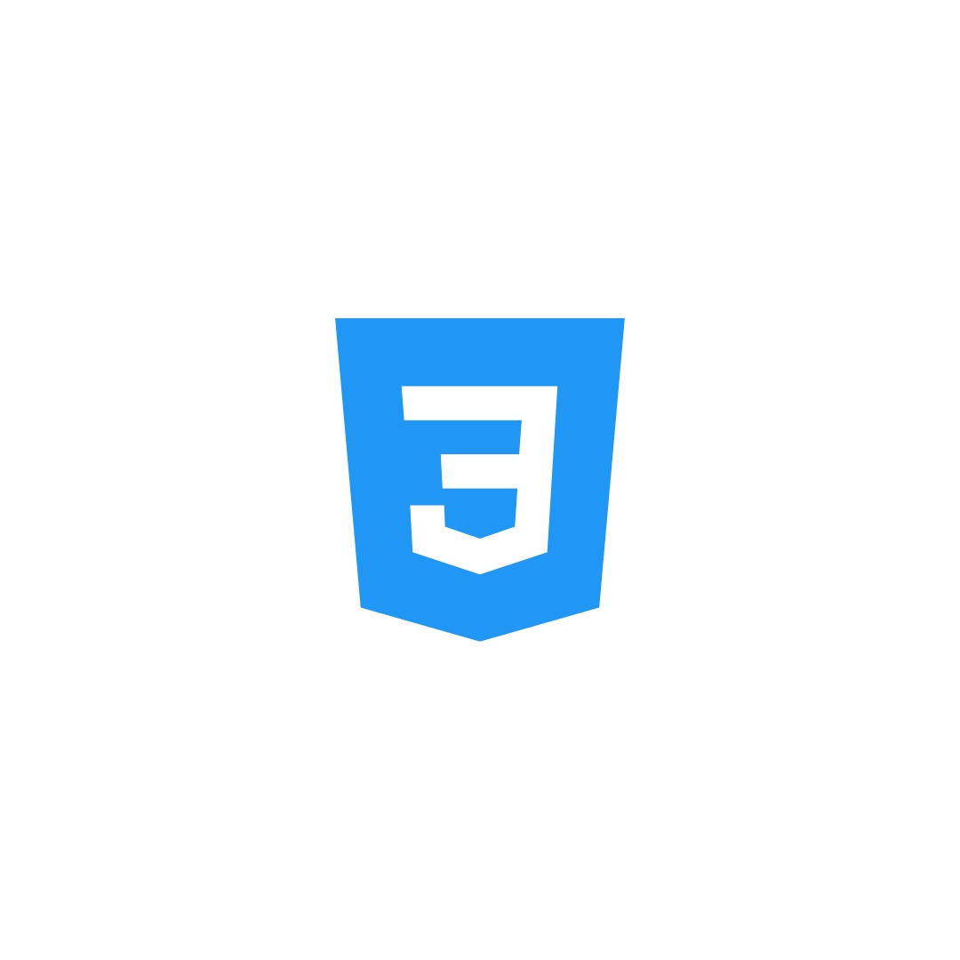 CSS
